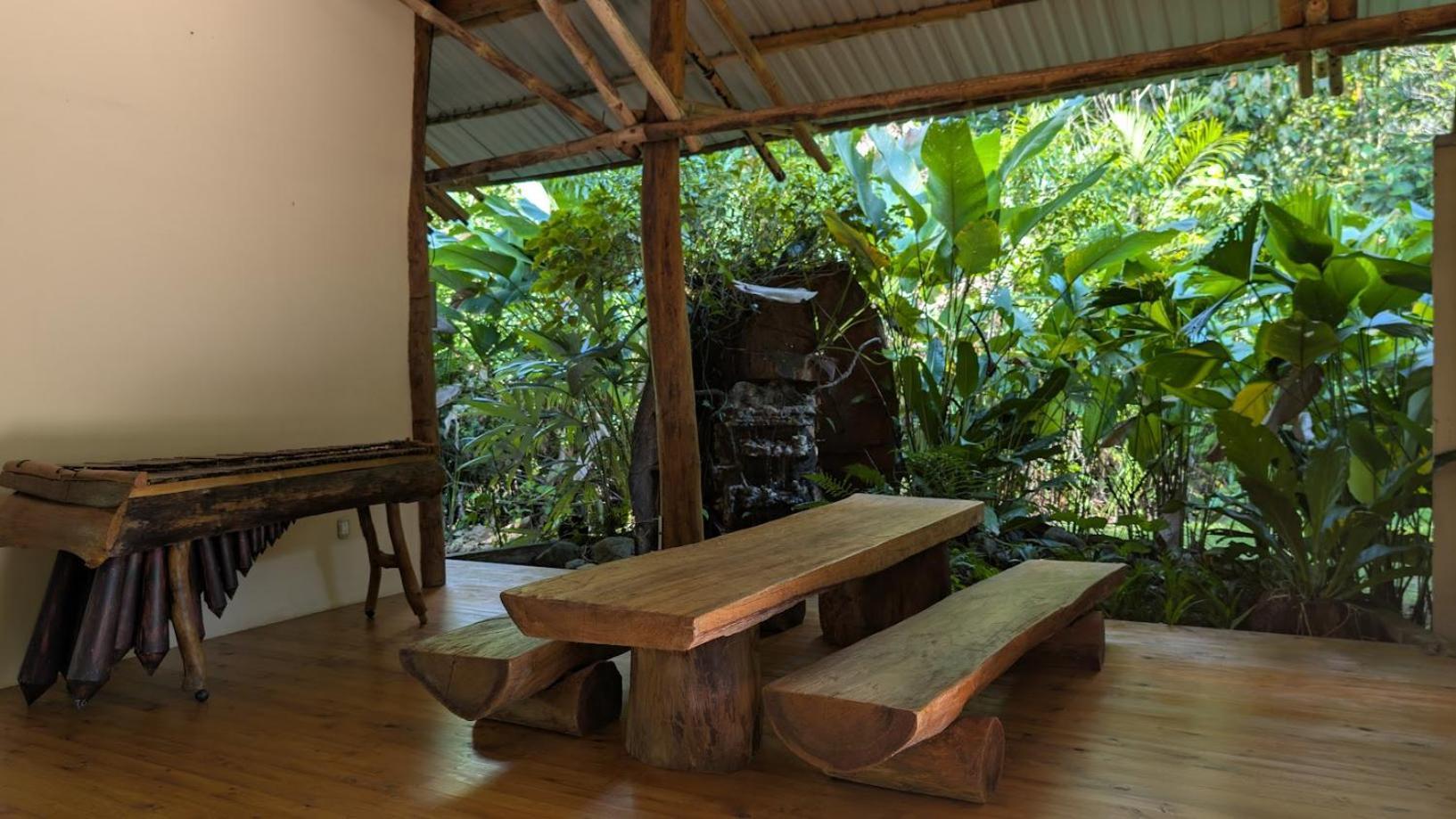 Lodge Danta Corcovado Rincon