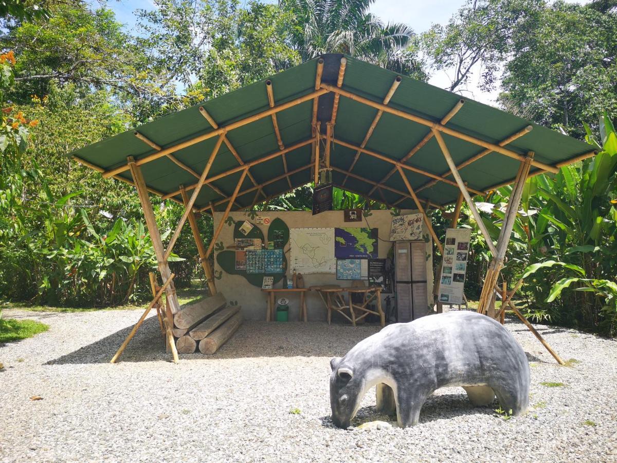 Danta Corcovado Lodge