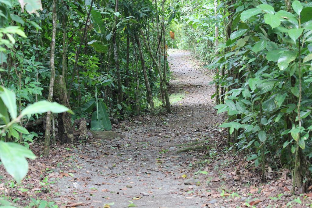 Lodge Danta Corcovado *